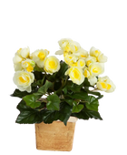 Künstliche Begonie - Steckpflanze - Lara | 20 cm