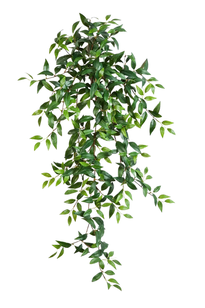 Hochwertige künstliche Hängepflanze auf transparentem Hintergrund mit echt wirkenden Kunstblättern in natürlicher Anordnung. Künstliche Dreimasterblume - Amy hat die Farbe Natur und ist 105 cm hoch. | aplanta Kunstpflanzen