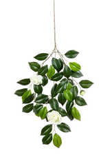 Künstlicher Kamelien Zweig - Betül auf transparentem Hintergrund mit echt wirkenden Kunstblättern in natürlicher Anordnung. Künstlicher Kamelien Zweig - Betül hat die Farbe Natur und ist 55 cm hoch. | aplanta Kunstpflanzen