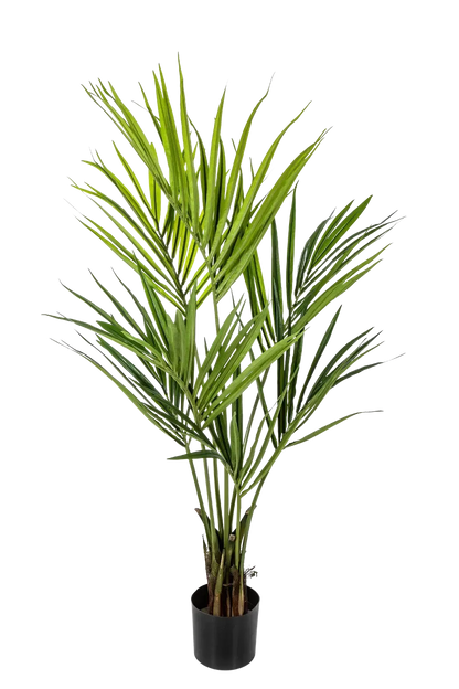Künstliche Kentia Palme - Cataleya, 140 cm, Kunstbaum von aplanta, in Natur, für drinnen