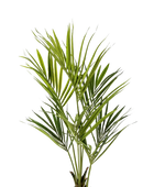 Künstliche Kentia Palme - Cataleya | 200 cm