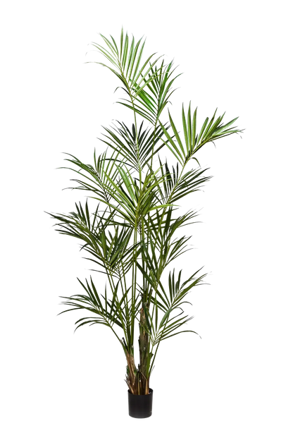 Künstliche Kentia Palme - Cataleya, 260 cm, Kunstbaum von aplanta, in Natur, für drinnen