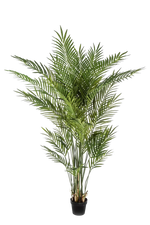 Künstliche Goldfruchtpalme - Eva, 170 cm, Kunstbaum von aplanta, im schwarzen Topf, in Natur, für drinnen