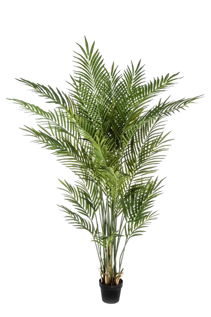 Künstliche Goldfruchtpalme - Eva, 170 cm, Kunstbaum von aplanta, im schwarzen Topf, in Natur, für drinnen