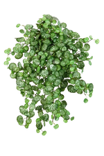 Künstliche Steinbrech - Emanuel, 50 cm, Kunstpflanze von aplanta, Steckpflanze, in Natur, für drinnen