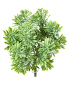 Künstliches Greiskraut - Henrike auf transparentem Hintergrund mit echt wirkenden Kunstblättern in natürlicher Anordnung. Künstliches Greiskraut - Henrike hat die Farbe Natur und ist 18 cm hoch. | aplanta Kunstpflanzen