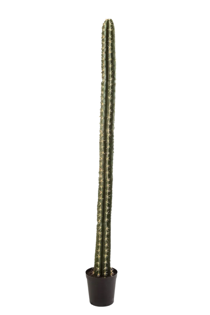 Künstlicher Kaktus - Hendrik, 206 cm, Kunstpflanze von aplanta, in Natur, für drinnen