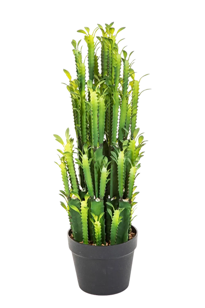 Künstlicher Kaktus - Hermann auf transparentem Hintergrund mit echt wirkenden Kunstblättern. Diese Kunstpflanze gehört zur Gattung/Familie der "Kakteen" bzw. "Kunst-Kakteen".