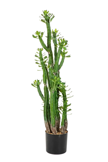 Künstlicher Kaktus - Hermann auf transparentem Hintergrund mit echt wirkenden Kunstblättern. Diese Kunstpflanze gehört zur Gattung/Familie der "Kakteen" bzw. "Kunst-Kakteen".