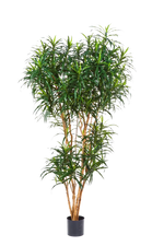 Künstlicher Drachenbaum - Helmut, 210 cm, Kunstbaum von aplanta, in Natur, für drinnen