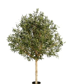 Hochwertiger Olivenbaum künstlich auf transparentem Hintergrund mit echt wirkenden Kunstblättern in natürlicher Anordnung. Künstlicher Olivenbaum - Ivy hat die Farbe Natur und ist 180 cm hoch. | aplanta Kunstpflanzen