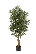 Künstlicher Olivenbaum - Ian, 150 cm, Kunstbaum von aplanta, mit Echtholzstamm, in Natur, für drinnen