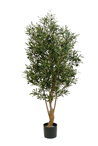 Künstlicher Olivenbaum - Ian, 170 cm, Kunstbaum von aplanta, mit Echtholzstamm, in Natur, für drinnen
