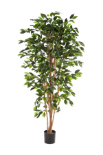 Künstlicher Ficusbaum - Sylvior, 180 cm, Kunstbaum von aplanta, UV-beständig, mit Echtholzstamm, inkl. Startertopf, in Grün
