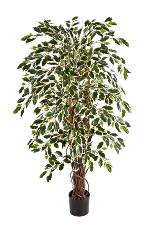 Künstlicher Ficus – Ravian | 120 cm