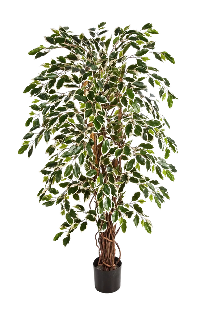 Künstlicher Ficus - Ravian, 120 cm, Kunstbaum von aplanta, mit Echtholzstamm, inkl. Startertopf, in Natur, für drinnen