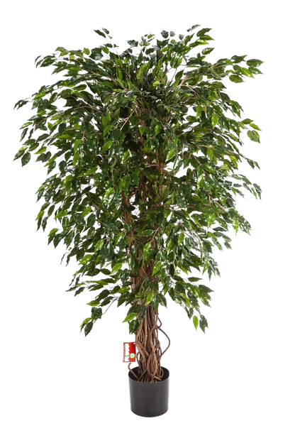 Künstlicher Ficus - Juna, 210 cm, Kunstbaum von aplanta, mit Echtholzstamm, mit Mangrovenstamm, im schwarzen Topf, in Natur