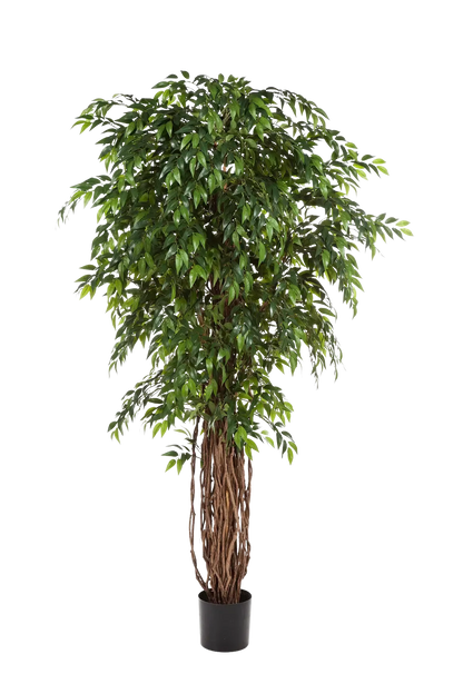 Künstlicher Ficus - Jayden, 210 cm, Kunstbaum von aplanta, in Natur, für drinnen
