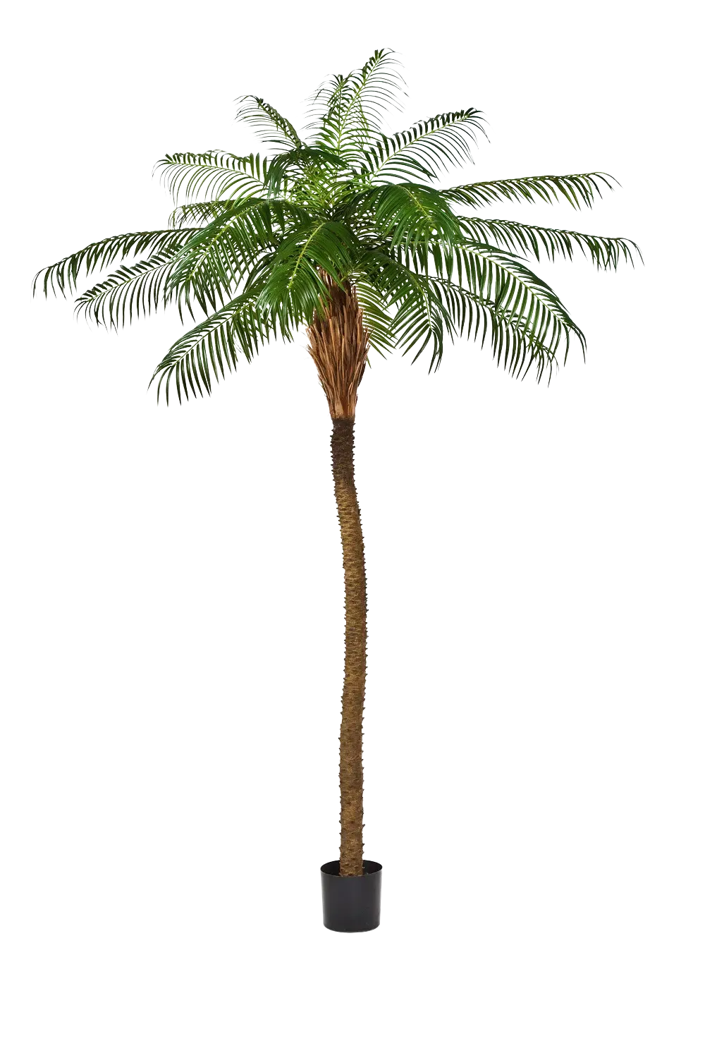 Künstliche Phoenixpalme - Zephyra, 210 cm, Kunstbaum von aplanta, in Grün, für drinnen