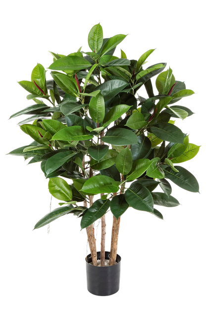 Künstlicher Gummibaum - Laura, 120 cm, Kunstbaum von aplanta, mit Echtholzstamm, in Natur, für drinnen