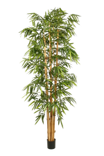 Künstlicher Bambus - Kenai, 150 cm, Kunstbaum von aplanta, mit Echtholzstamm, UV-beständig, inkl. Startertopf, in Grün