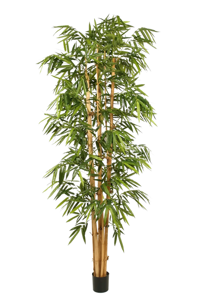 Künstlicher Bambus - Kenai, 150 cm, Kunstbaum von aplanta, mit Echtholzstamm, UV-beständig, inkl. Startertopf, in Grün