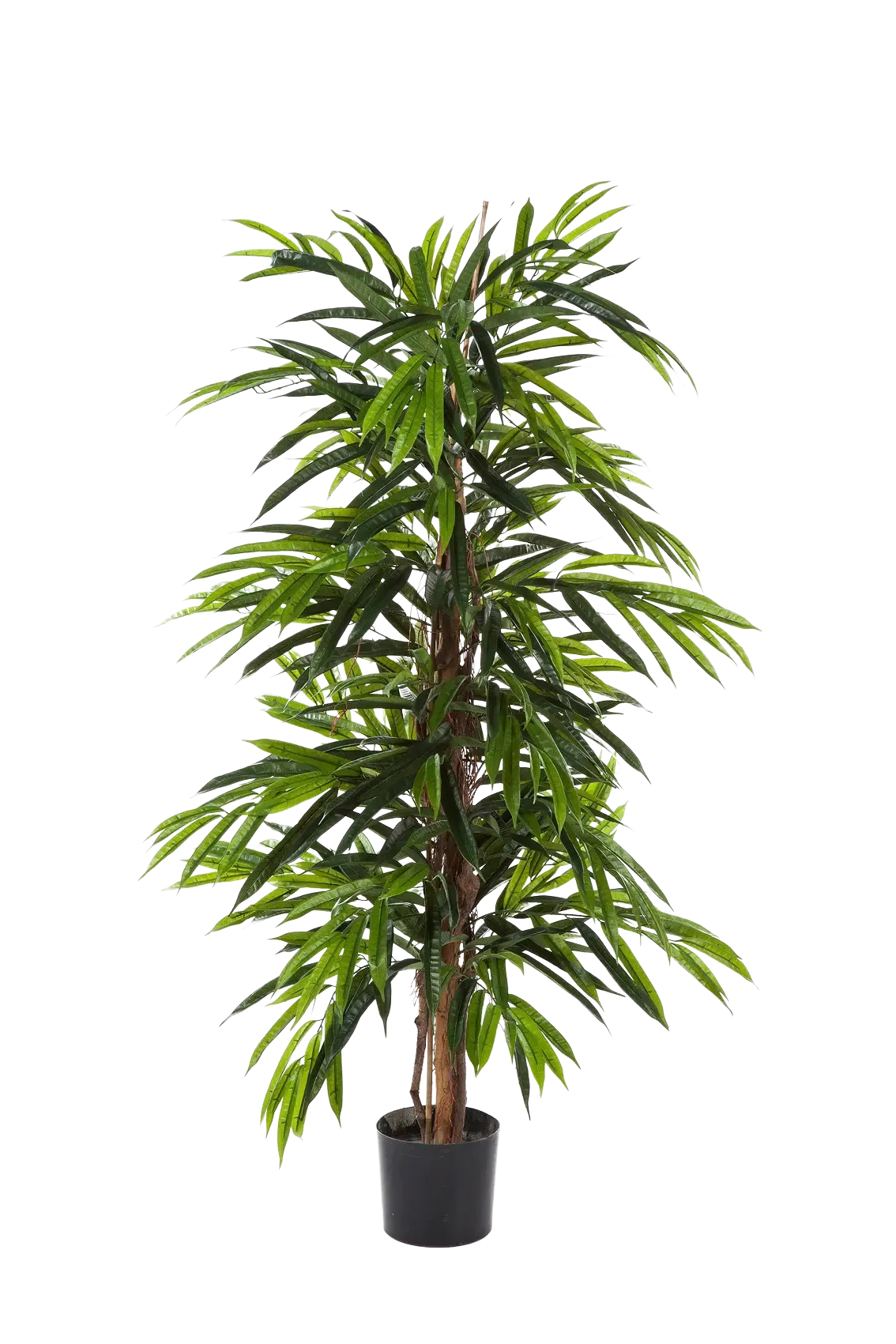 Künstliche Longifolia - Maurice | 180 cm