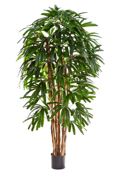Künstliche Steckenpalme - Noemi, 210 cm, Kunstbaum von aplanta, in Natur, für drinnen