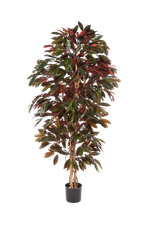 Künstlicher Capensia-Baum - Oliver, 210 cm, Kunstbaum von aplanta, für drinnen