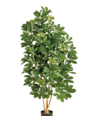 Künstliche Schefflera - Omer | 170 cm