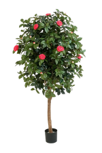 Künstlicher Kamelienbaum - Philina, 170 cm, Kunstbaum von aplanta, mit Echtholzstamm, im schwarzen Topf, in Natur