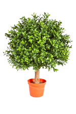 Hochwertiger Buchsbaum künstlich auf transparentem Hintergrund mit echt wirkenden Kunstblättern in natürlicher Anordnung. Künstlicher Buchsbaum - Rico hat die Farbe Natur und ist 40 cm hoch. | aplanta Kunstpflanzen
