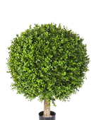 Hochwertiger Buchsbaum künstlich auf transparentem Hintergrund mit echt wirkenden Kunstblättern in natürlicher Anordnung. Künstlicher Buchsbaum - Rico hat die Farbe Natur und ist 85 cm hoch. | aplanta Kunstpflanzen