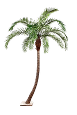 Künstliche Phoenixpalme - Simon, 330 cm, Kunstbaum von aplanta, in Natur, für drinnen