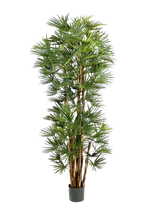 Künstliche Palme - Sören | 210 cm