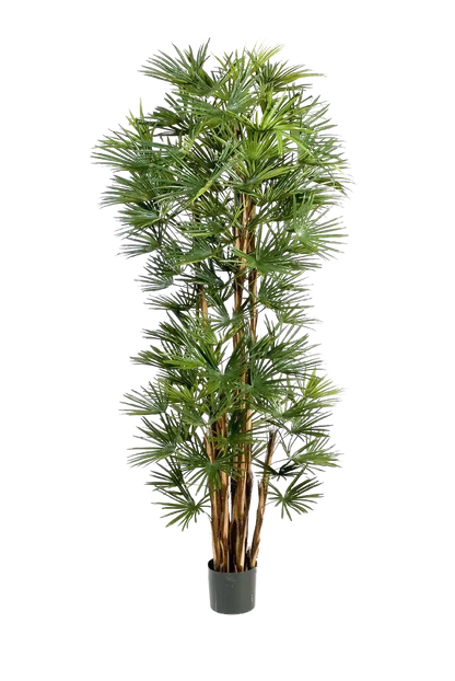 Künstliche Palme - Sören | 210 cm