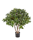 Künstlicher japanischer Spindelstrauch - Wilma | 75 cm auf transparentem Hintergrund mit echt wirkenden Kunstblättern in natürlicher Anordnung. | aplanta Kunstpflanzen