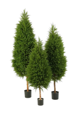 Künstliche Zypresse - Pepe auf transparentem Hintergrund mit echt wirkenden Kunstblättern in natürlicher Anordnung. Künstliche Zypresse - Pepe hat die Farbe Natur und ist 150 cm hoch. | aplanta Kunstpflanzen