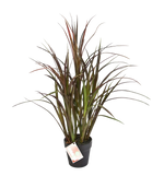 Hochwertiges Kunstgras auf transparentem Hintergrund mit echt wirkenden Kunstblättern in natürlicher Anordnung. Künstliches Grass - Rote Oceane hat die Farbe Rot und ist 75 cm hoch. | aplanta Kunstpflanzen