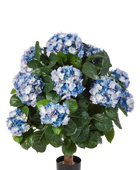 Hochwertige Hortensie künstlich auf transparentem Hintergrund mit echt wirkenden Kunstblättern in natürlicher Anordnung. Künstliche Hortensie - Naomi hat die Farbe Blau und ist 62 cm hoch. | aplanta Kunstpflanzen