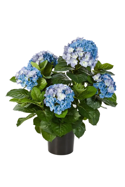 Künstliche Hortensie - Naomi, 53 cm, Kunstpflanze von aplanta, in Blau, für drinnen