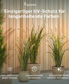 Ficus rampicante artificiale sospeso - Keno | 80 cm
