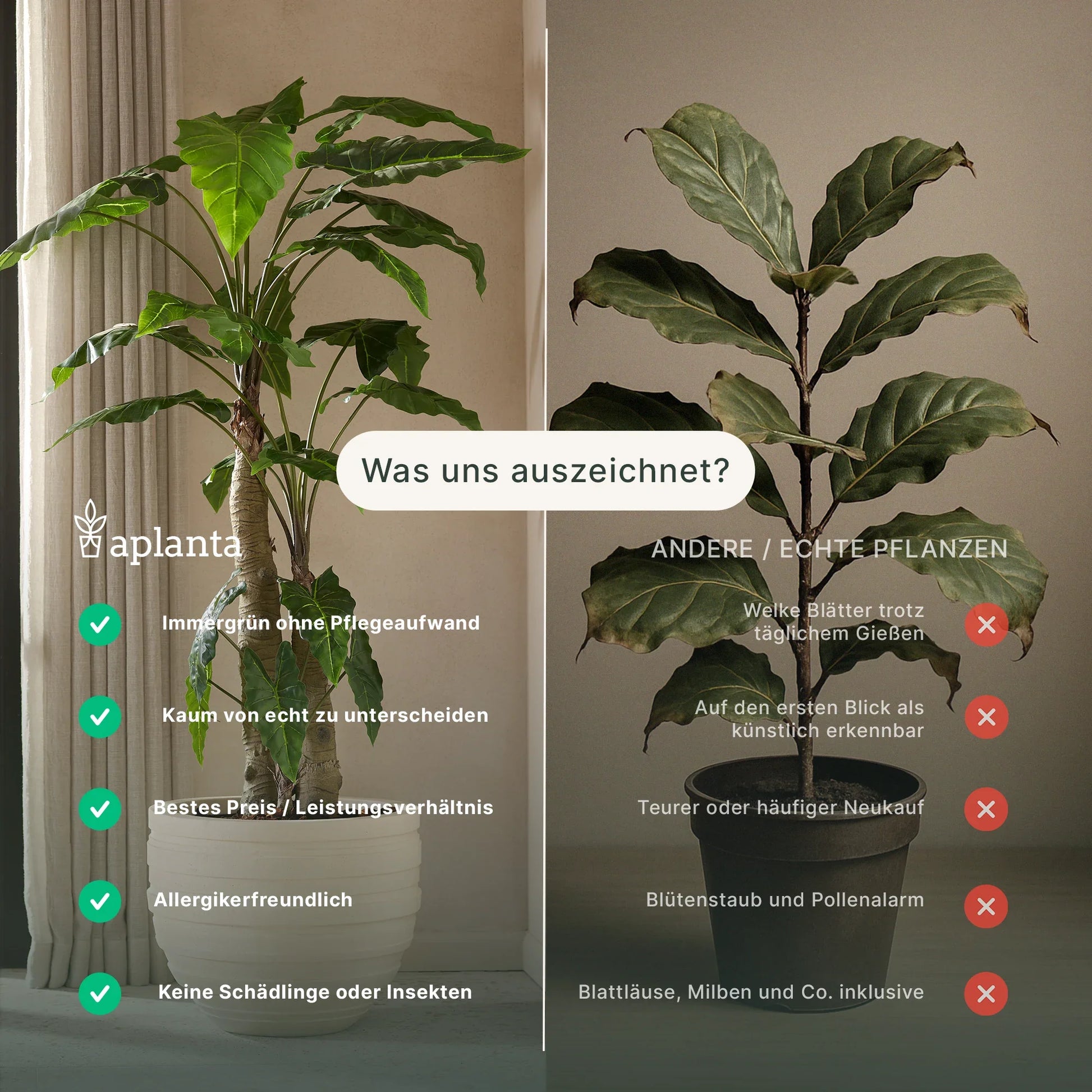 Künstliche Cordyline - Berta, 62 cm, Kunstpflanze von aplanta, feuerhemmend, B1-zertifiziert, in Gelb, für drinnen