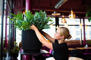 Blumentopf zylinder Groove schwarz | 36x38 cm