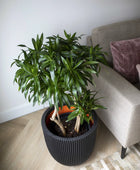 Blumentopf Kugel Groove schwarz | 43x41 cm