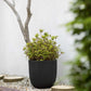 Blumentopf Kugel Groove schwarz, 43x41cm, Pflanzkübel von aplanta, für drinnen & draußen