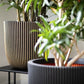 Blumentopf Kugel Groove schwarz gold, 35x34cm, Pflanzkübel von aplanta, in Schwarz-Gold, für drinnen & draußen