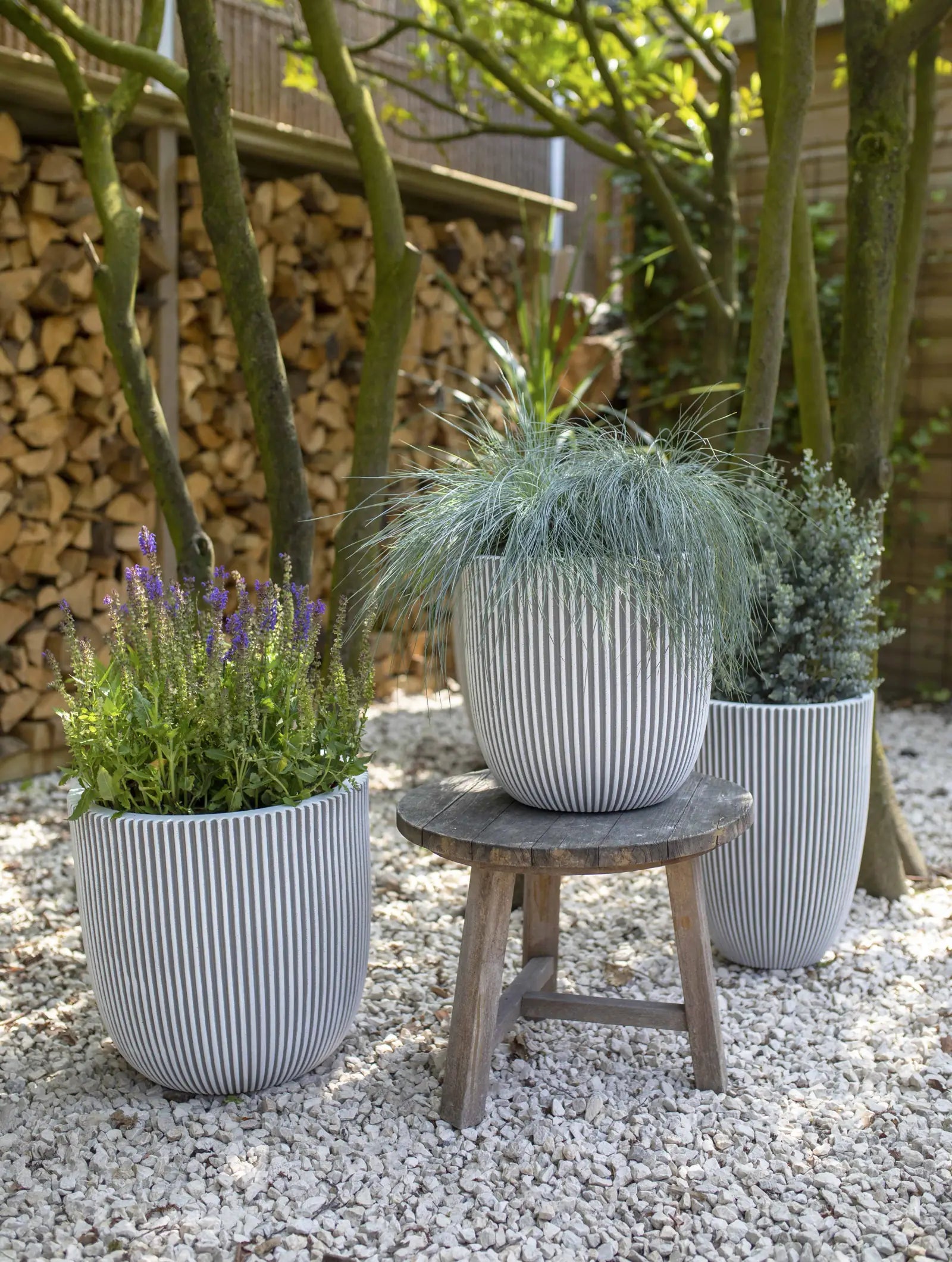 Blumentopf Kugel Groove elfenbein, 35x34cm, Pflanzkübel von aplanta, für drinnen & draußen