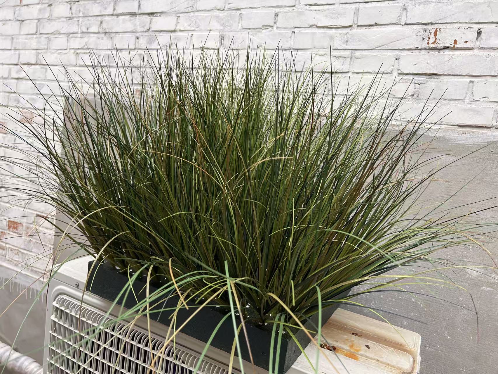 Gras Arragement BASIS | 30x30x50cm