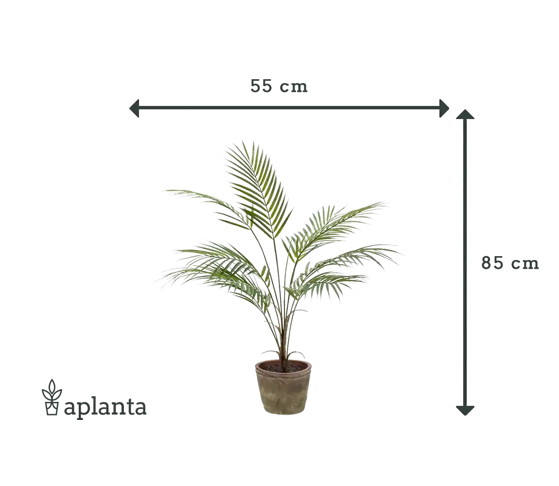 Künstliche Bergpalme - Josef | 85 cm